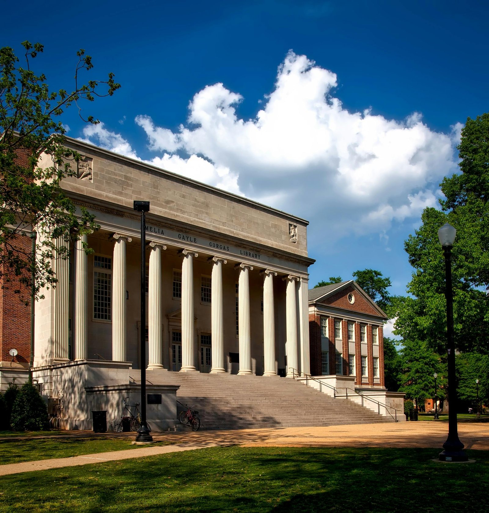 Harvard University